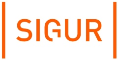 Программное обеспечение Идентификация лица: лицензия на базу до 100 лиц SIGUR
