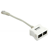 Разветвитель SPL-YT4-E2-E2 RJ-45 4Pr.T568A/T568B -> 2 x 2Pr.10BASE-T Hyperline